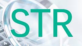 Logo STR – Statistisches Rundschreiben