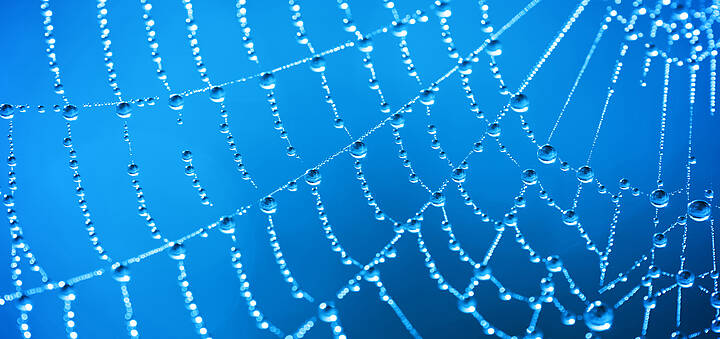 Spinnennetz mit Tau auf blauem Hintergrund