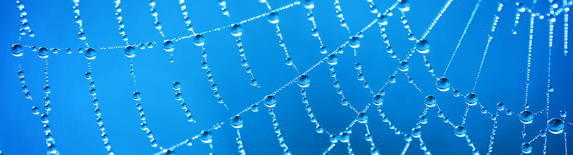 Spinnennetz mit Tau auf blauem Hintergrund