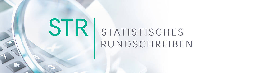 Ausschnitt aus dem STR